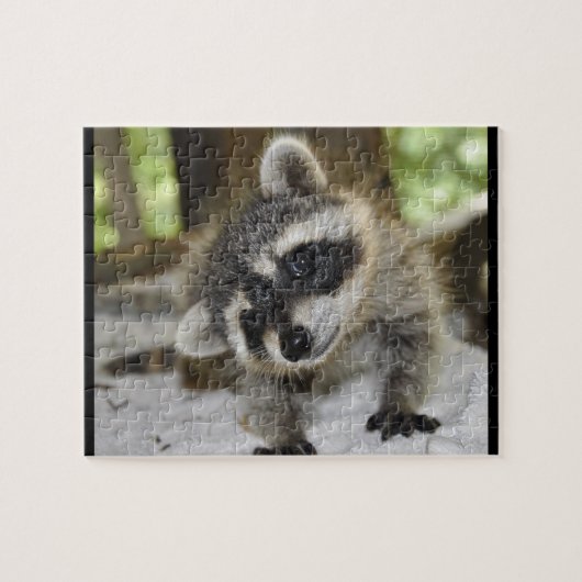 Gekke Raccoon - Puzzle Legpuzzel (Horizontaal)