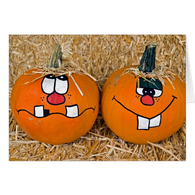 Gekke seizoen (Voorkant Horizontaal)