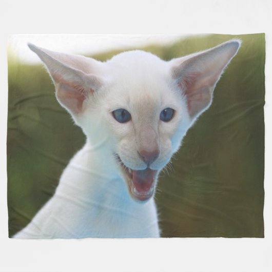 Gekke Siamese Fleece Deken (Voorkant (Horizontaal))