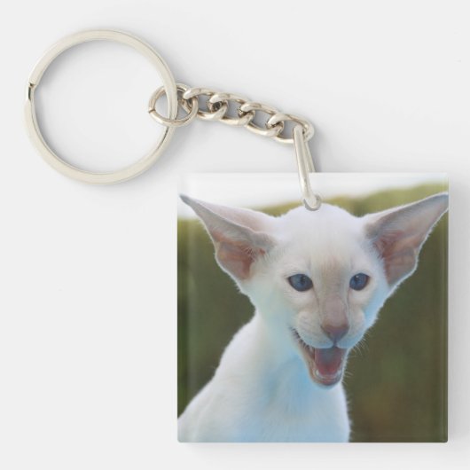 Gekke Siamese Sleutelhanger (Voorkant)