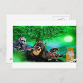 Gekke Trilly Postard Briefkaart (Voorkant / Achterkant)