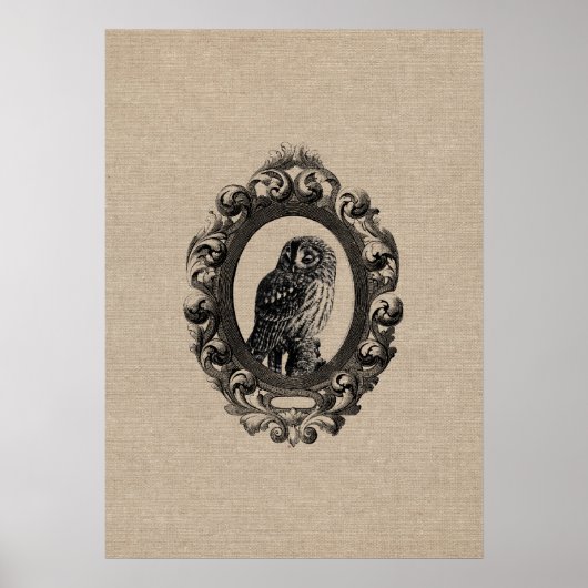  gekke uilvogel uilt vogels rustige chic poster (Voorkant)