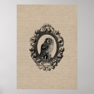gekke uilvogel uilt vogels rustige chic poster
