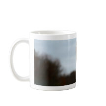 Gekke vogelfoto | Foto van Ostrich Face Wildlife