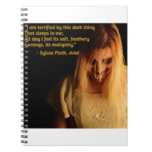 gekke vrouw notitieboek