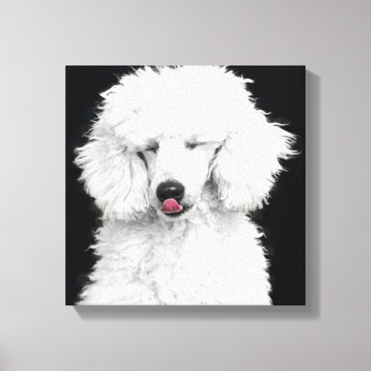 Gekke wit hulpmiddel canvas afdruk (Voorkant)