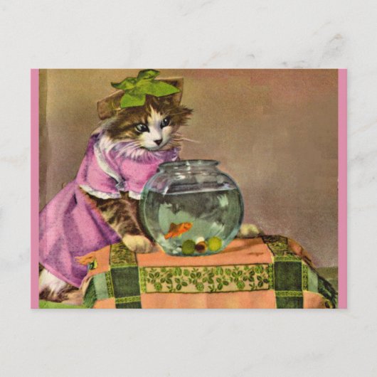 geklede kat en viskuit briefkaart (Voorkant)