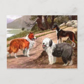  gekleurd Briefkaart (Voorkant)