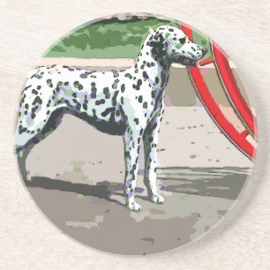 gekleurd Dalmatiaans Onderzetter voor zandsteen