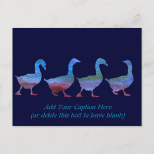 gekleurd ganzen briefkaart