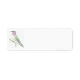 Gekleurd Hummingbird Tekenlabel Etiket