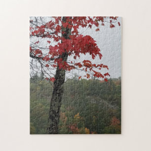 Gekleurde bladeren Het is herfst Legpuzzel