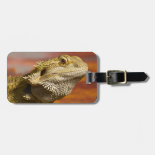 Gekleurde draak (Pogona Vitticeps) op een tak, Bagagelabel