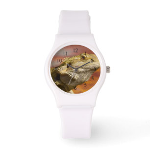 Gekleurde draak (Pogona Vitticeps) op een tak, Horloge