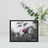 gekleurde ester met zwarte rand briefkaart (Staand voorkant)