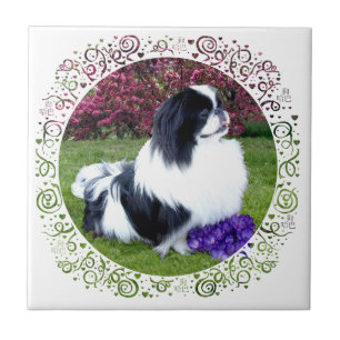 Gekleurde Pekingees Honden Tegeltje