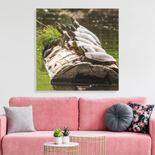 gekleurde schildpadden die zichzelf zonnen in een canvas afdruk (Insitu (Woonkamer))