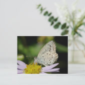 Gekleurde vlinder met scant crème briefkaart (Staand voorkant)