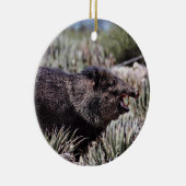 Gekolde peccary (javelina) die tijdens de bloei gl keramisch ornament (Rechts)