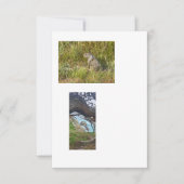 gekoppelde sjabloon-afbeeldingen kaart (Voorkant)