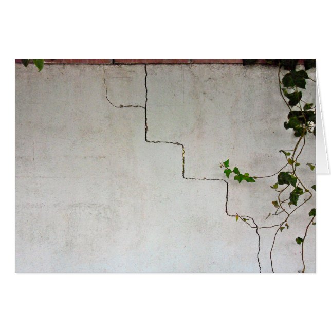 Gekraakt met wijn (Voorkant Horizontaal)