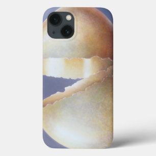 Gekraakte Brons-eieren iPhone 13 Hoesje