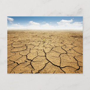 Gekraakte woestijnvloer briefkaart