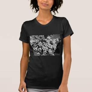 Gekregen Milkweed in Zwart-wit T-shirt