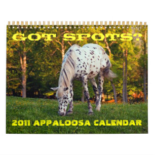 GEKREGEN VLEKKEN? 2011 KALENDER APPALOOSA
