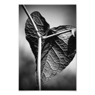 gekruisigd hart foto afdruk