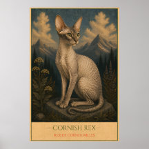 Gekrulde Elegantie: Cornish Rex