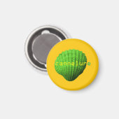 Gekuifde schelp magneet (Voorkant / Achterkant)