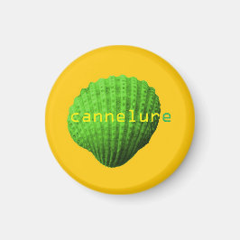 Gekuifde schelp magneet