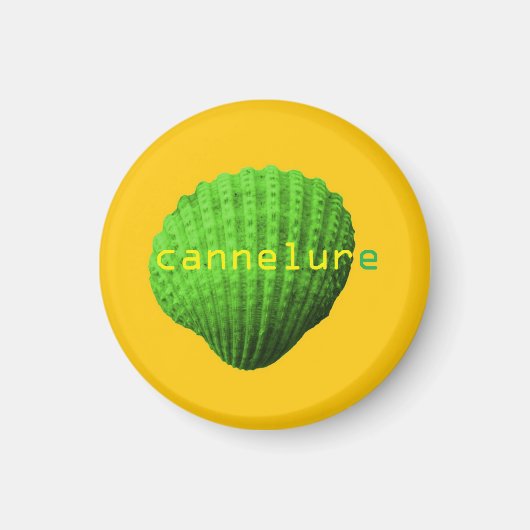 Gekuifde schelp magneet (Voorkant)