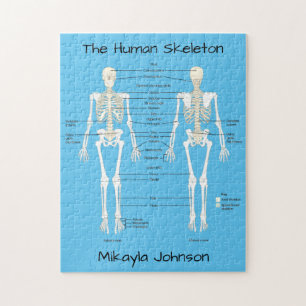 Gelabeld Humaan Skeleton Puzzle Legpuzzel