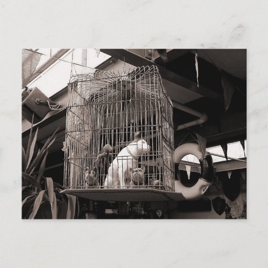 Gelabelde beesten briefkaart (Voorkant)