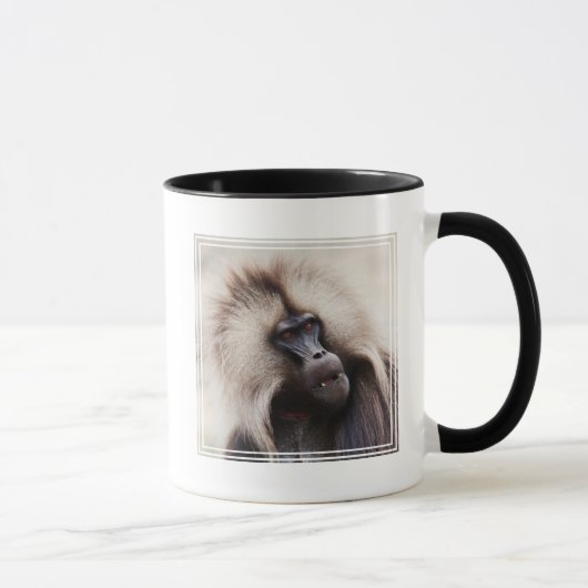 Gelada Baboon, Ethiopië Mok (Rechts)