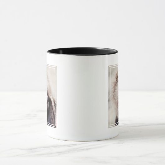 Gelada Baboon, Ethiopië Mok (Midden)