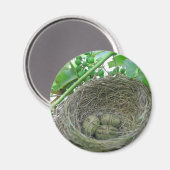 Geldnesteieren Magneet (Voorkant / Achterkant)