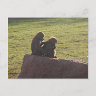 Geldvrienden Briefkaart