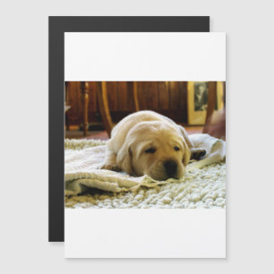 gele 2-labpuppy magnetische uitnodiging