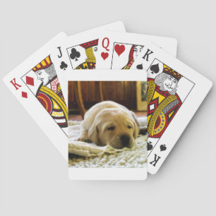 gele 2-labpuppy pokerkaarten