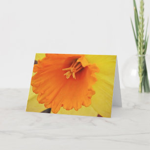 Gele affodil ventilator Sluiten Nota Kaart