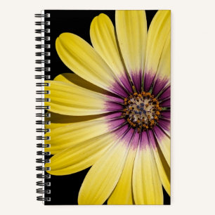 Gele Afrikaanse margriet op zwarte bloemen Notitieboek