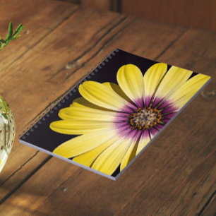 Gele Afrikaanse margriet op zwarte bloemen Notitieboek