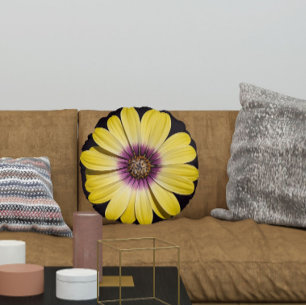 Gele Afrikaanse margriet op zwarte bloemen Rond Kussen