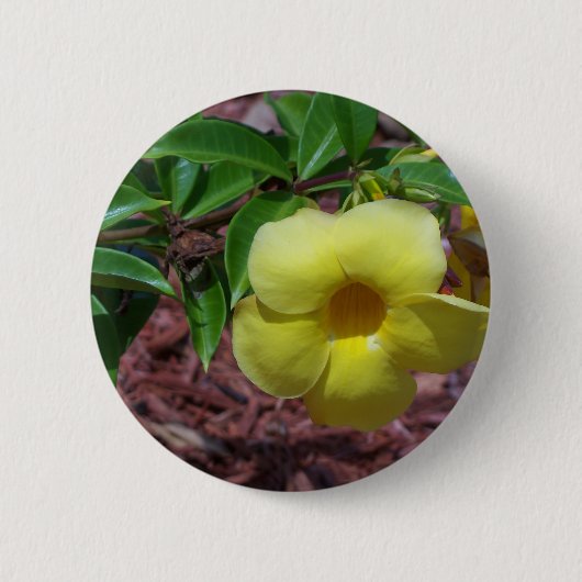 Gele alamandbloem ronde button 5,7 cm (Voorkant)
