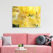 Gele alstroemeria Stretched Canvas Afdrukken (Insitu (Woonkamer))