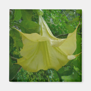 Gele Angel's Trumpet Magnet Magneet