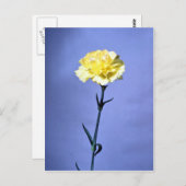 Gele anjer briefkaart (Voorkant / Achterkant)